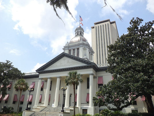 Florida Upgrades Possession of Child-Like Sex Dolls from Misdemeanor to Felony Under New DeSantis Law
